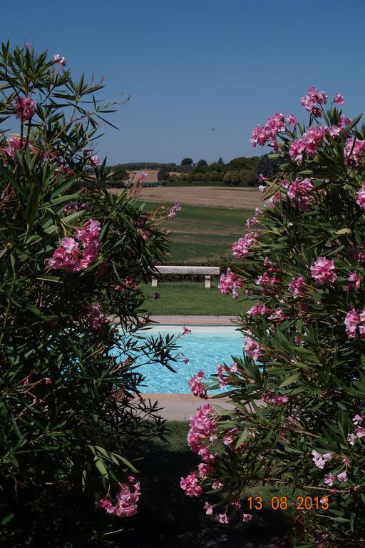 Villa La Lodola Foiano Della Chiana Exteriér fotografie