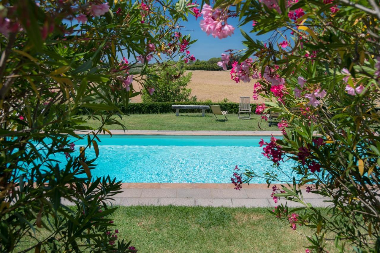 Villa La Lodola Foiano Della Chiana Exteriér fotografie